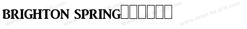 brighton spring字体转换